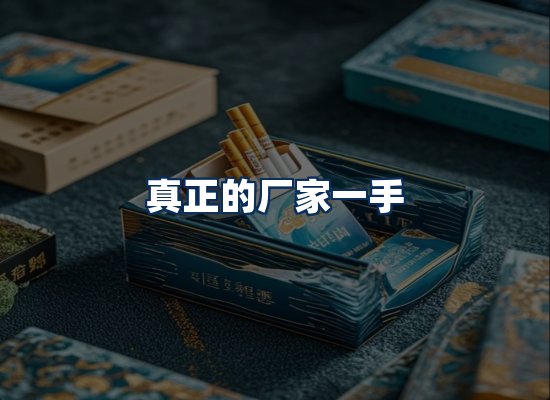 专业团队办公环境
